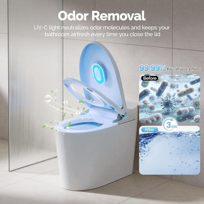 Smart Toilet Sanitizer